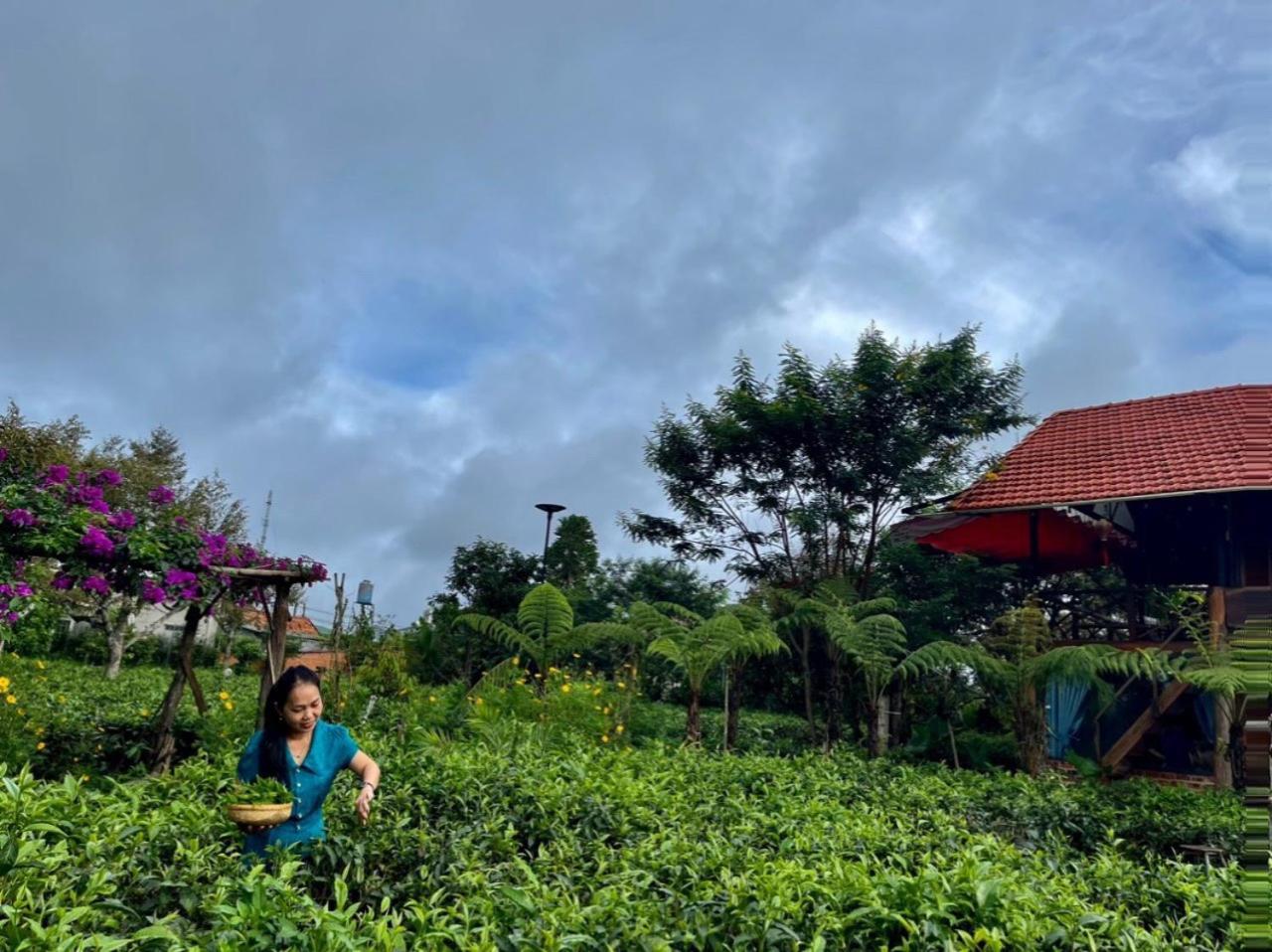 Willa Tea Garden House Bao Loc Zewnętrze zdjęcie