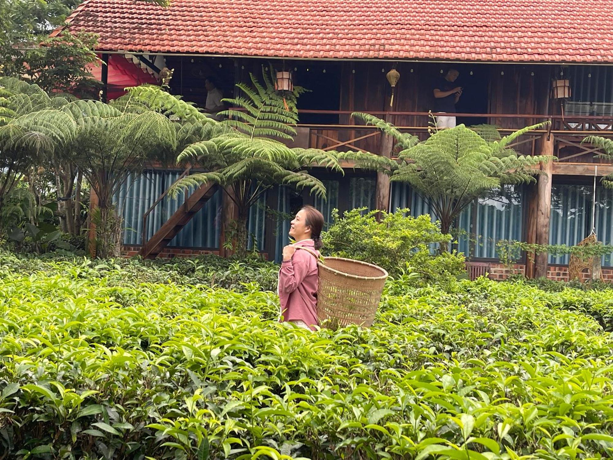 Willa Tea Garden House Bao Loc Zewnętrze zdjęcie
