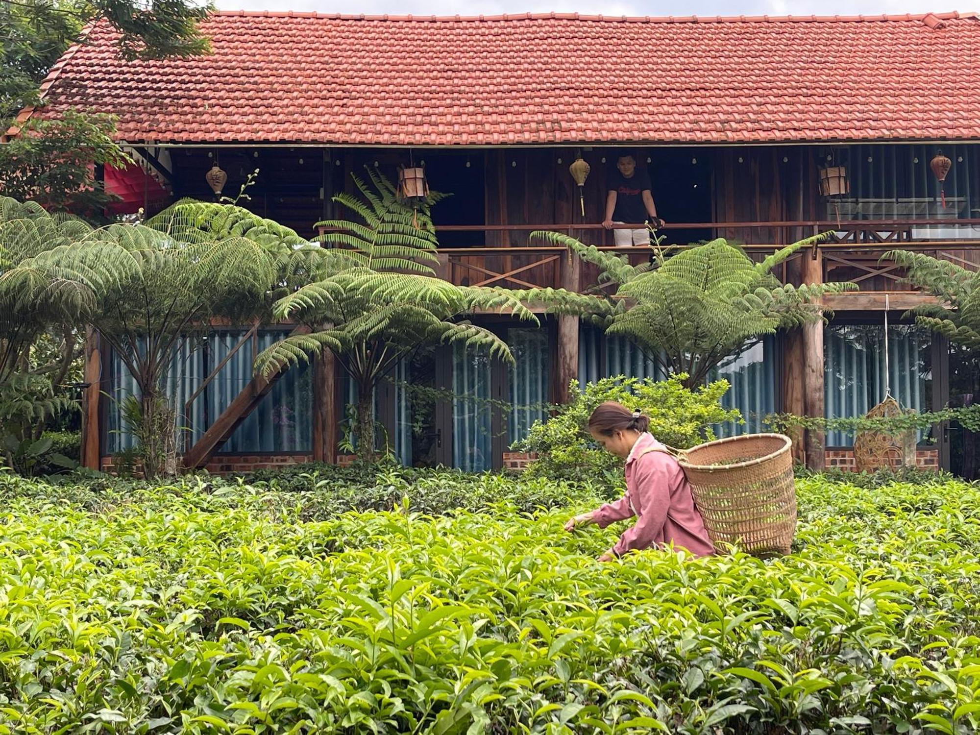 Willa Tea Garden House Bao Loc Zewnętrze zdjęcie