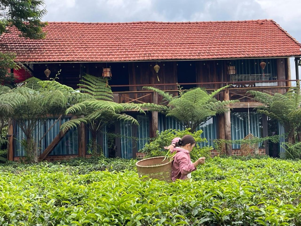 Willa Tea Garden House Bao Loc Zewnętrze zdjęcie
