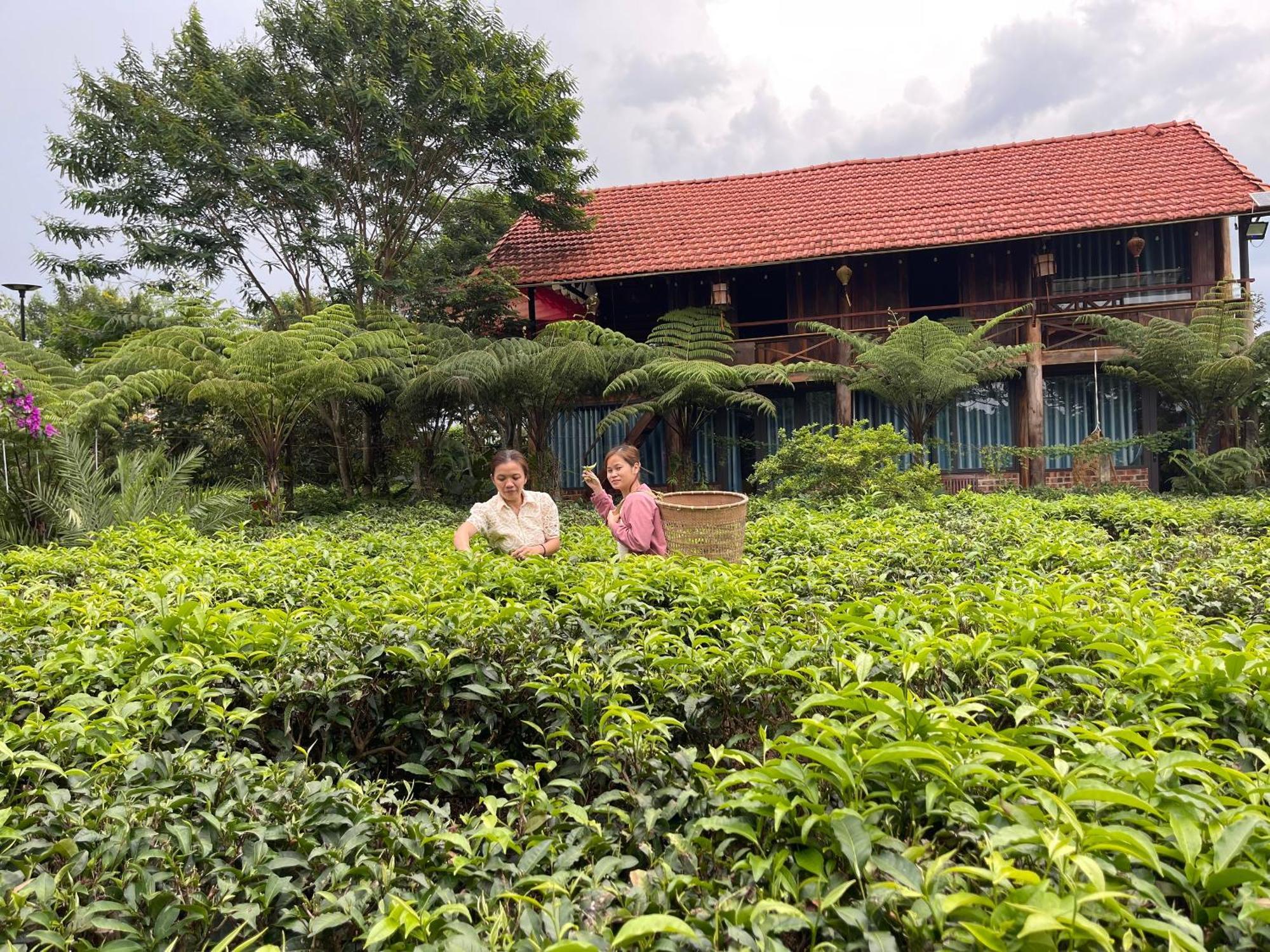 Willa Tea Garden House Bao Loc Zewnętrze zdjęcie