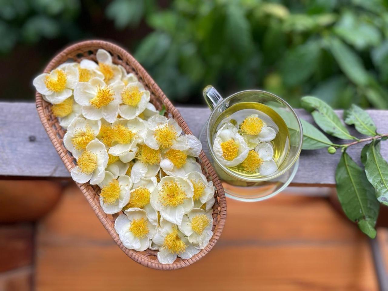 Willa Tea Garden House Bao Loc Zewnętrze zdjęcie