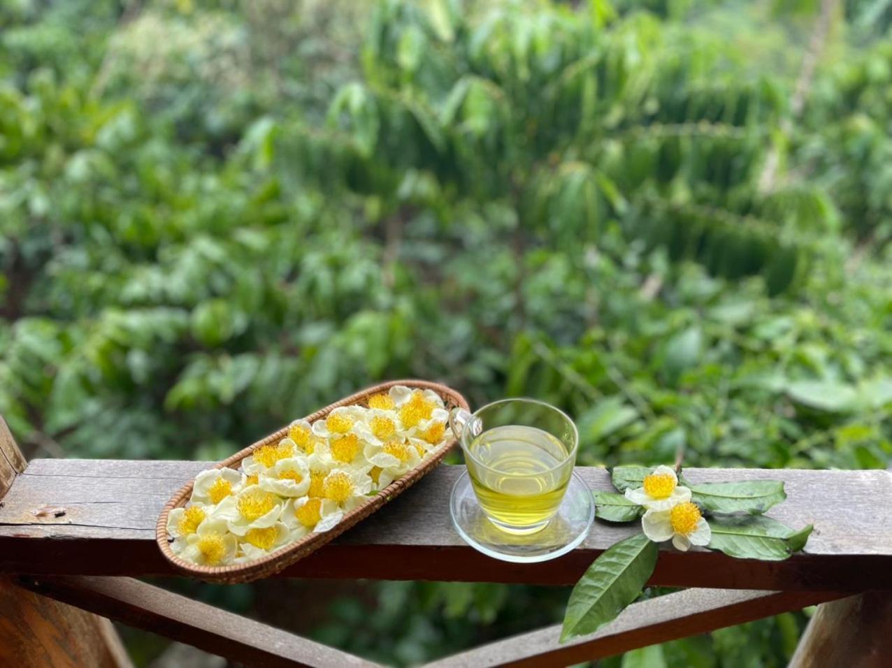 Willa Tea Garden House Bao Loc Zewnętrze zdjęcie