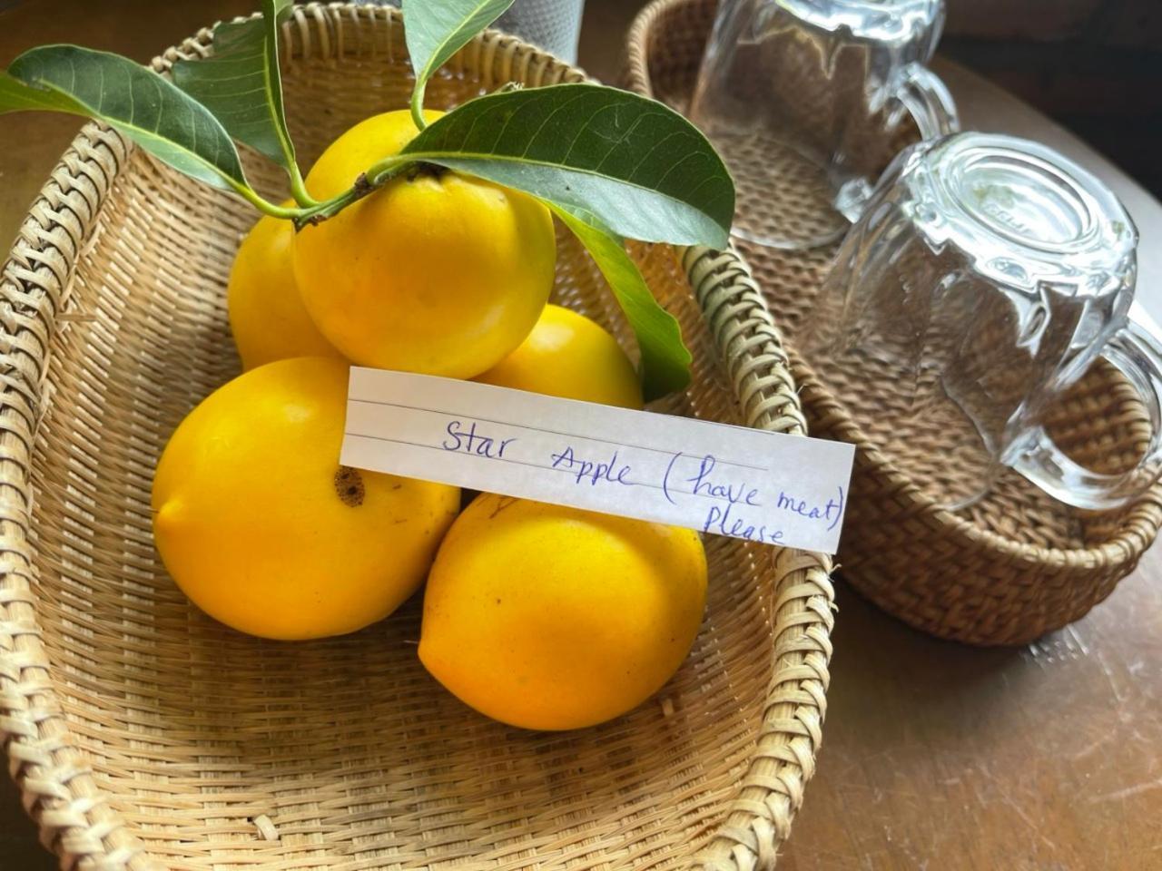 Willa Tea Garden House Bao Loc Zewnętrze zdjęcie