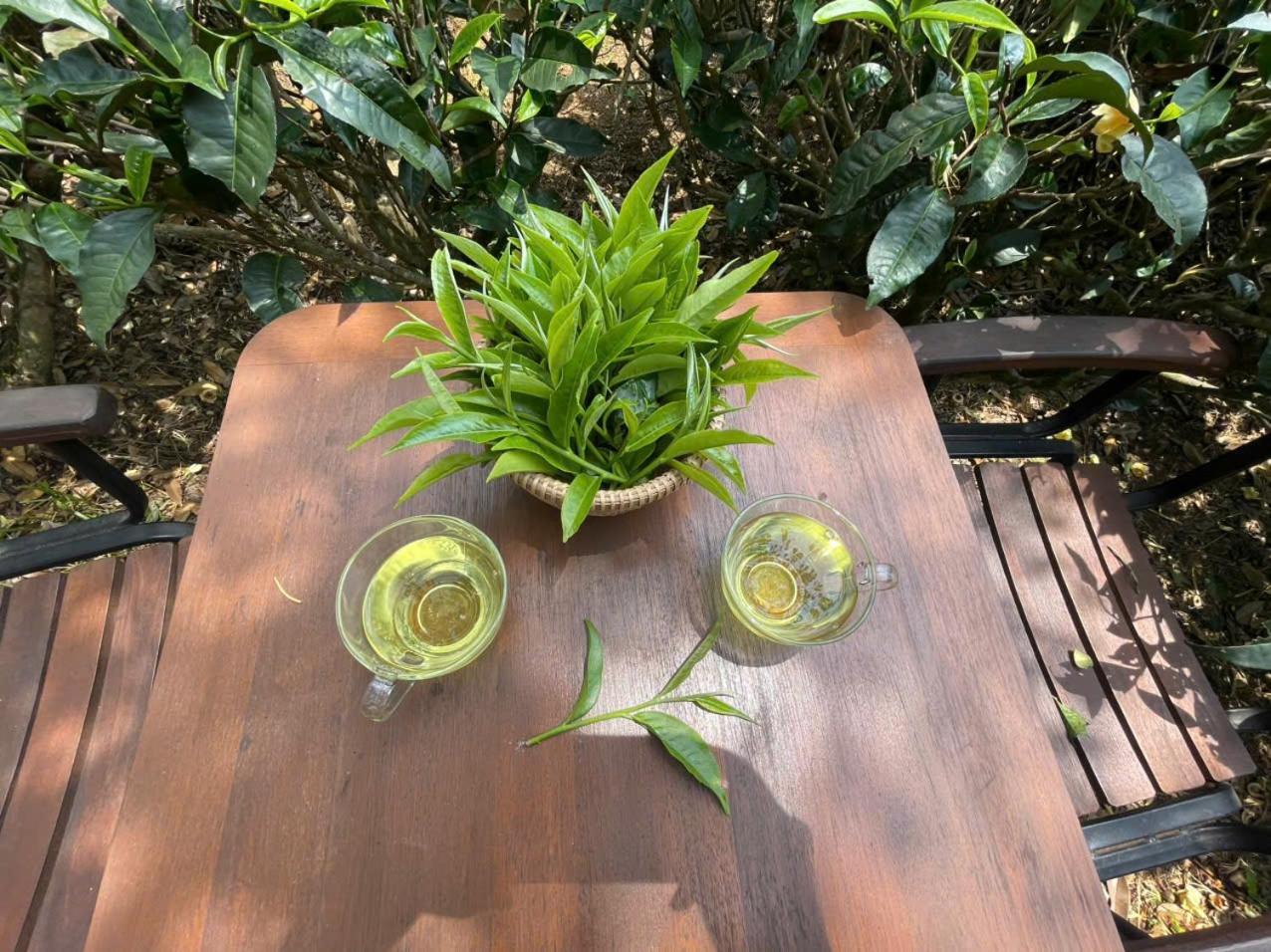 Willa Tea Garden House Bao Loc Zewnętrze zdjęcie
