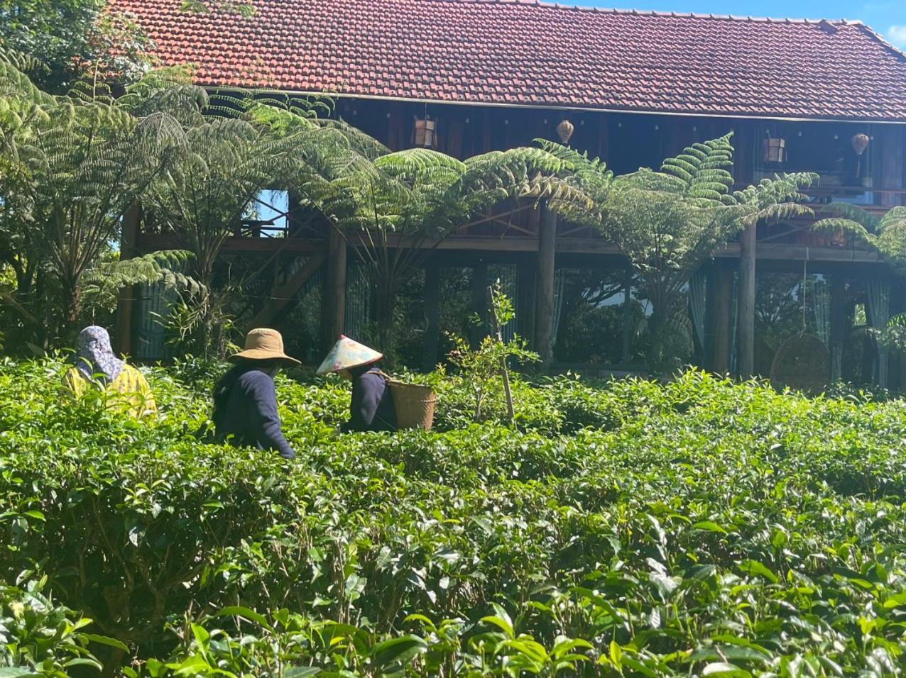 Willa Tea Garden House Bao Loc Zewnętrze zdjęcie